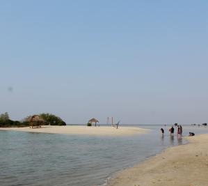 Snorkling dan Explore Pulau Pari 