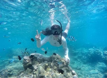 Snorkling dan Explore Pulau Harapan 