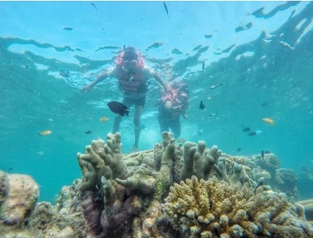 Snorkling dan Explore Pulau Harapan 