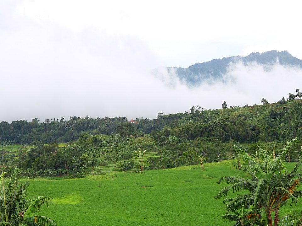 Overland Rawa Cangkuang