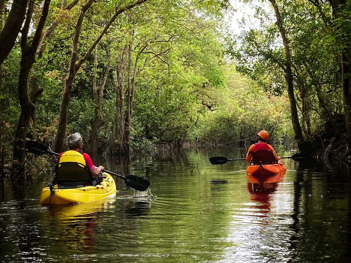 Kayak Buluh Cina