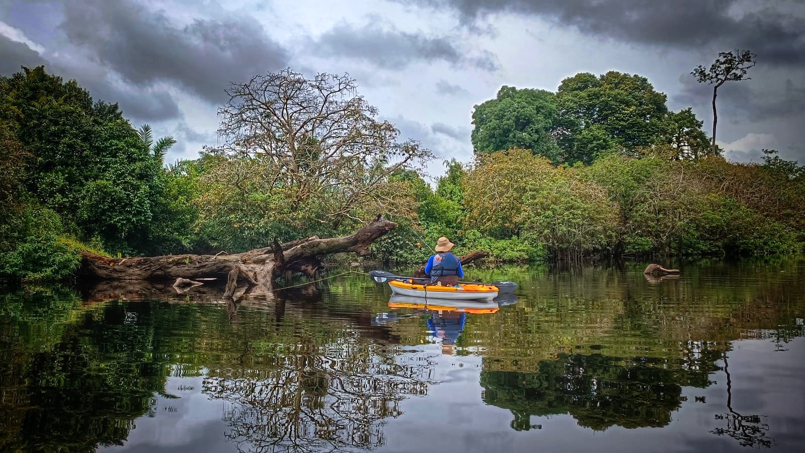 Kayak Buluh Cina