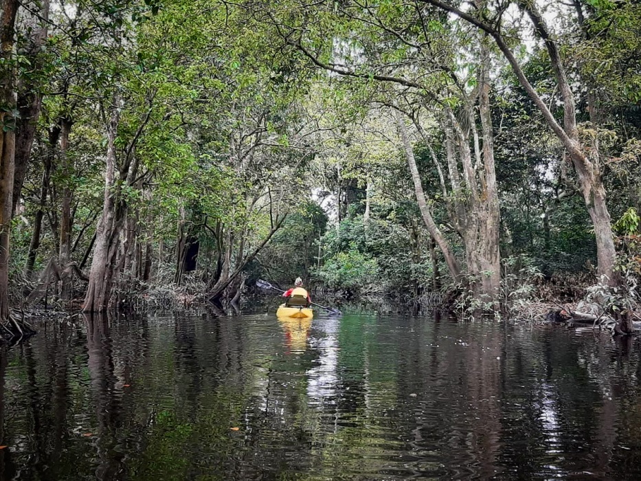 Kayak Buluh Cina