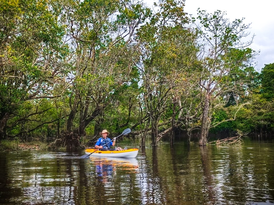 Kayak Buluh Cina