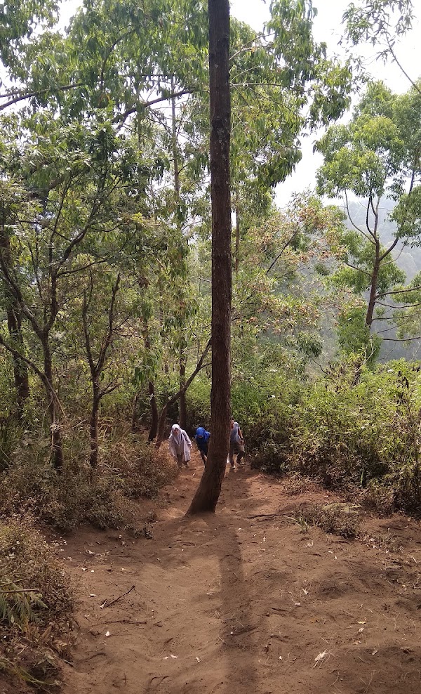 Hiking Gunung Panderman